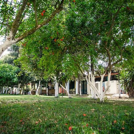 Agriturismo Archelao Ористано Екстер'єр фото